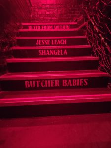 Image displaying stairs in Cathouse